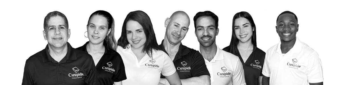 cuspide health insurance agency