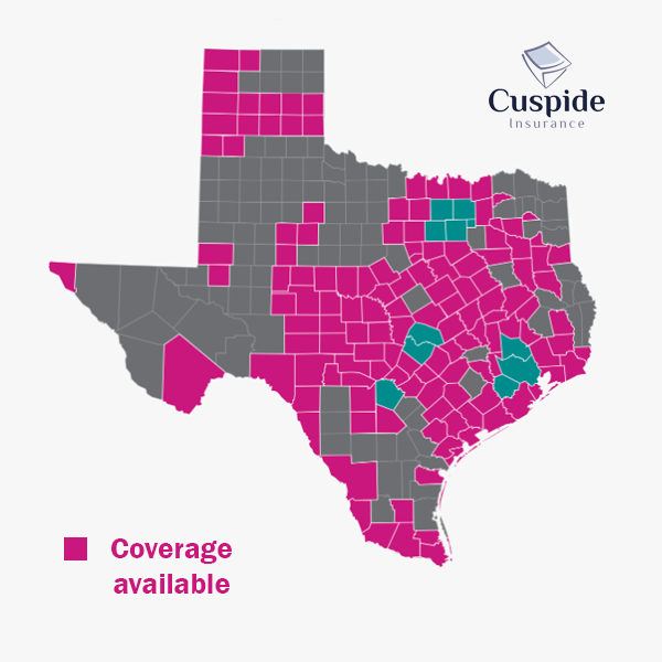 Ambetter Texas Map